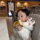 병찬 | 1월부터 3월까지 몰아서 올리는 일기