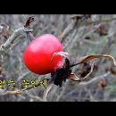 ＜행복의 샘터＞ 에 얽힌 이야기 이미지
