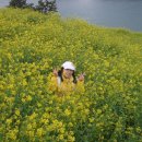 대교펜션 이미지