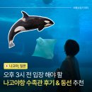 나고야항 수족관 늦게 들어간 후기 할인 입장 시간 추천 동선 정리