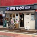 달빛 거북이 이미지