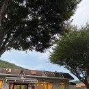 도 - 해돋이 | 언양 맛집 해돋이가든 누룽지백숙 몸보신 최고