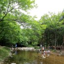 개울가 야영장 이미지