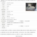 디아크 동물병원 이미지