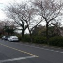 효돈로,일주동로 이미지