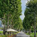 강남대로55길1-7 이미지