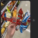 가평애견카페 리버뷰펜션 이미지