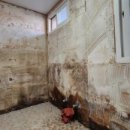 함평현대서비스 이미지