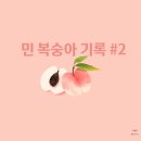 덕일 농장 | 유명 복숭아 정리 &amp; 구매방법 (내돈내산 복게팅2)