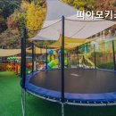 띠아모키즈풀빌라 이미지