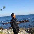 강구바다 Daum카페