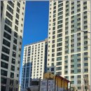 내일공인중개사사무소 이미지