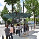 그늘막35 이미지