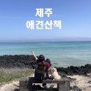 에메랄드 이미지