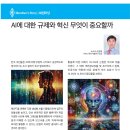 AI에 대한 규제와 혁신 무엇이 중요할까(KARL지 2024. 09/10월호) 이미지