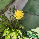 법무사법인동우 - 서구 화개중앙로 95 | 법무사법인동우