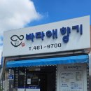 바다애향기