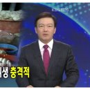 돼지유통 이미지