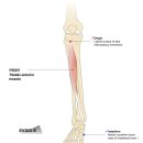 CM Fitness 이미지