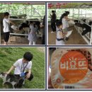 배들농장2 이미지