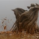 거암민박 네이버블로그