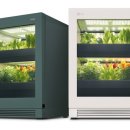 센트럴뷰세탁 이미지