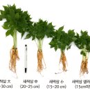 윤희네농장 이미지