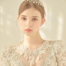 비비드블랑 이미지