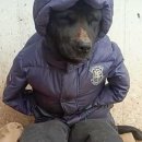 몽몽드림 | BUSAN 소리질러 ^^~!