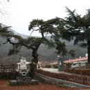 대율초등학교 이미지