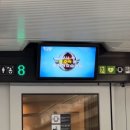 옛방망이칼국수 | 엄마랑 뚜벅이로 다녀온 묵호 1박 2일 여행 추천 코스