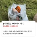 모찌나가