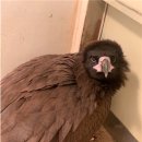 울산광역시야생동물구조관리센터 이미지