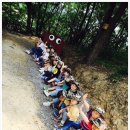 새빛유치원 이미지