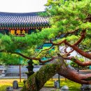 팔봉로 Daum카페
