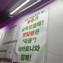 방춘자푸드 네이버블로그
