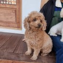 뽕나무민박 | [경상도]그린&amp;힐링민박 경주숙소 가성비가심비 최고 내돈내산