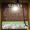 양고기푸줏간 네이버블로그