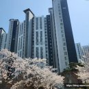 선우건설산업(주) 네이버블로그