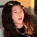 버섯애가 | [공구마감] 일명 고기버섯, '더 힐링팜' 송화버섯 공구 3/25~3/27 3일간 진행