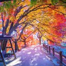 환경생태공원 이미지