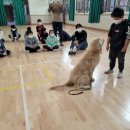 외궁초등학교 이미지