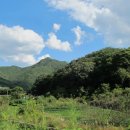 바람불어 좋은날 이미지