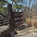 성산면사무소 | 추노 촬영지 비슬산 휴양림 등산로/등산코스, 주차장-대견봉 등산 소요시간(셔틀버스, 도보 비교)
