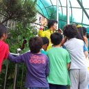 동일중앙초등학교 이미지