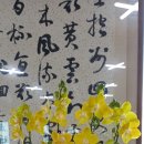 다대포검도관 이미지