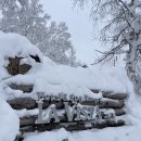 La TREE HOTEL(라 트리 호텔) | [홋카이도/호텔 추천] 눈을 보며 노천탕을 즐길 수 있는 호텔 Hotel&amp;Spa La Vista