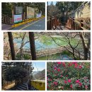 꽃마을천 이미지