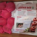 쫑말이네농장