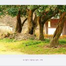 동백산방 이미지